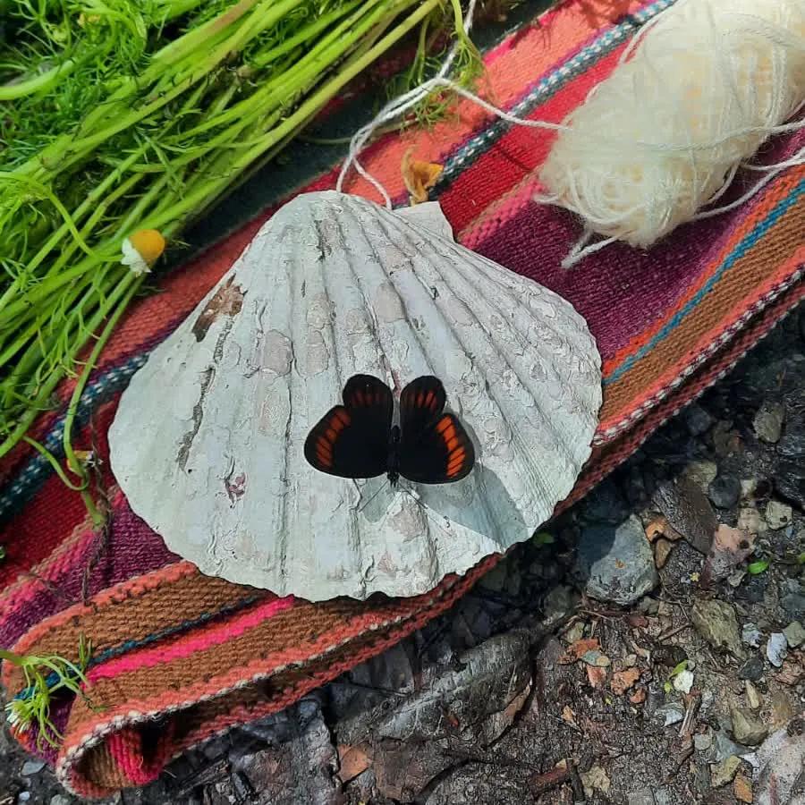 Mesa altar with candles in the dark — ceremonial night setting