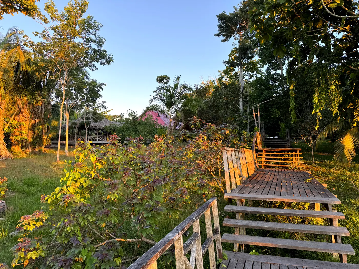 Path to a ceremonial retreat in the Peruvian Amazon